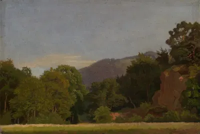 Wiese am Waldrand mit Höhenzug in der Ferne by Emil Lugo — digital art print download