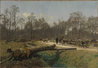 Поляна в Дурлахському лісі by Пауль фон Равенштейн, 1894 — digital art print download