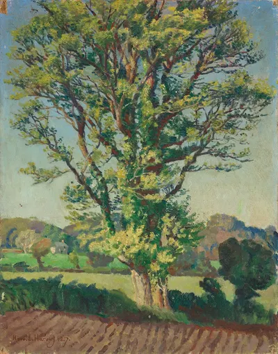The Elm Tree by Harold Charles Francis Harvey, 1927 — digital art print download
