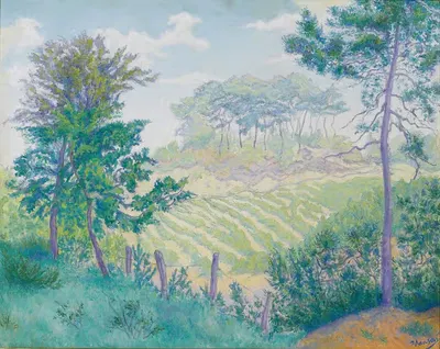Виноградники под соснами by Поль Рансон, 1896 — digital art print download