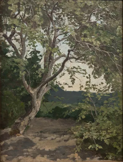 A Tree. Study by Anna Nordlander — digital art print download