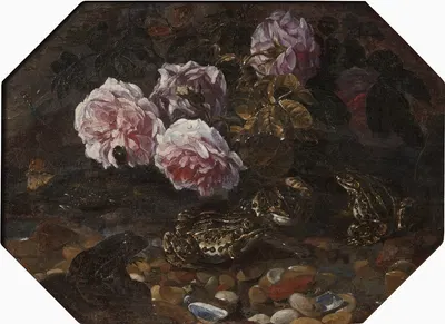 Frogs, Wild Roses, Shells and Butterflies by Paolo Porpora — digital art print download