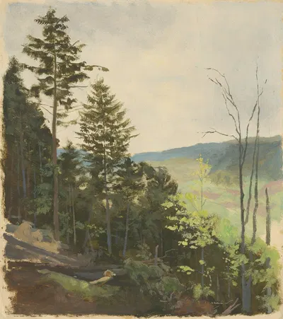 Холм с кустарником by Ян Новопаcky, 1850 — digital art print download