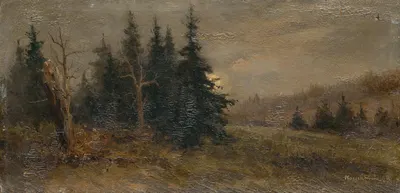 Лесной пейзаж by Фелициан Мочик, 1903 — digital art print download