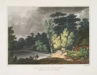Спирит-Крик, рядом с Огстой, Джорджия by Джошуа Шоу, 1819 - 1821 — digital art print download