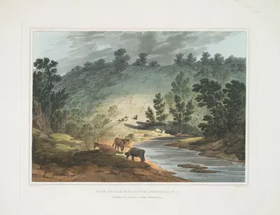 Вид на Уисахиккон, Пенсильвания by Джошуа Шоу, 1819 - 1821 — digital art print download