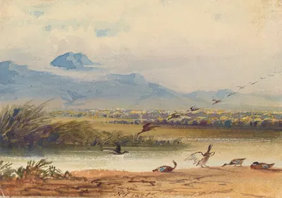 Утки, приземляющиеся на реку by Ньютон Лимбирд Смит Филдинг, 1826 — digital art print download