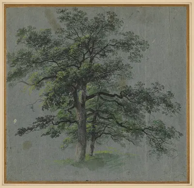 Два дерева by Иоганн Якоб Дорнер, 1800–1850 — digital art print download