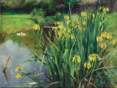 Yellow Irises by a Pond by Marie Egner — digital art print download
