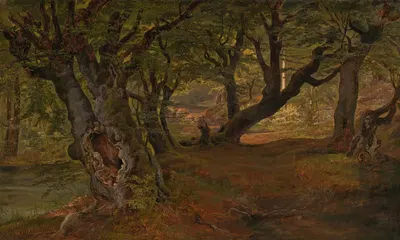 Вид на лес Брегентвед, Зеландия by Фредерик Сёдринг — digital art print download