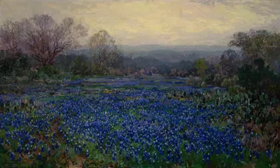 Untitled (Field of Bluebonnets) by Julian Onderdonk, 1918 — digital art print download
