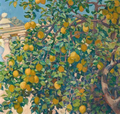 Лимонные деревья в Ла Мортоле by Тео ван Риссельберге, 1921 — digital art print download