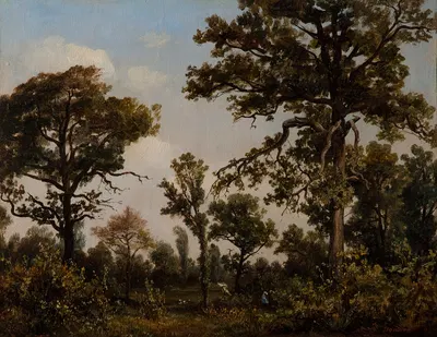 Большое дубовое дерево, лес Фонтенбло by Теодор Руссо, 1839 — digital art print download