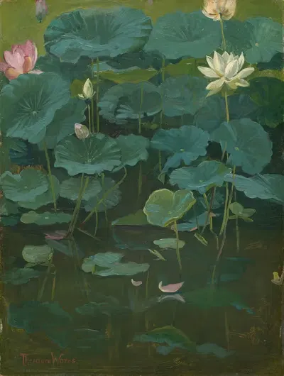 Цветы Будды; Лотос, Токио by Теодор Уорес, 1894 — digital art print download