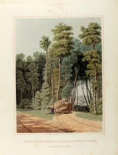 A Road Accident; a Glimpse thro’ an Opening of the Primitive Forest by William James Bennett, 1841 — digital art print…