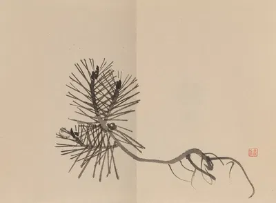 Keinen shūgajō Pl.07 by Имао Кейнин, 1906 — digital art print download