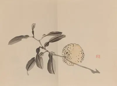 Keinen shūgajō Pl.09 by Имао Кейнин, 1906 — digital art print download