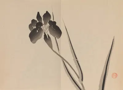 Keinen shūgajō Pl.21 by Имао Кейнин, 1906 — digital art print download