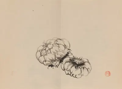 Keinen shūgajō Pl.23 by Имао Кейнин, 1906 — digital art print download