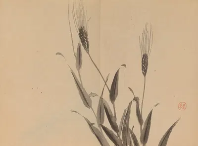 Keinen shūgajō Pl.25 by Имао Кейнин, 1906 — digital art print download