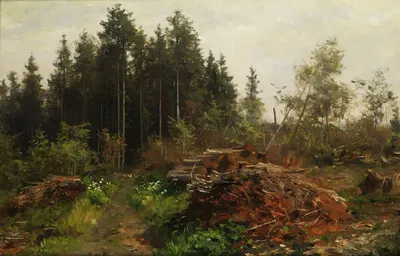 Лесной пейзаж by Фриц Фройнд — digital art print download