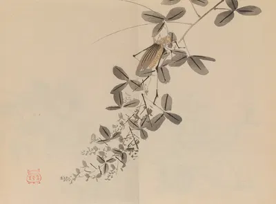 Keinen shūgajō Pl.40 by Имао Кейнин, 1906 — digital art print download