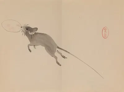Keinen shūgajō Pl.50 by Имао Кейнин, 1906 — digital art print download