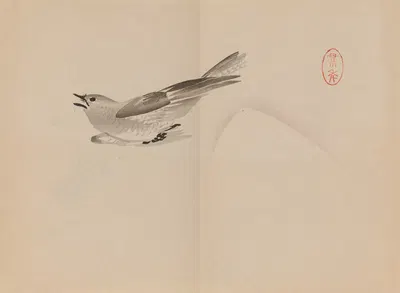 Keinen shūgajō Pl.53 by Имао Кейнин, 1906 — digital art print download