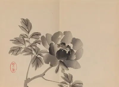 Keinen shūgajō Pl.57 by Имао Кейнин, 1906 — digital art print download