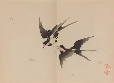 Keinen shūgajō Pl.58 by Имао Кейнин, 1906 — digital art print download