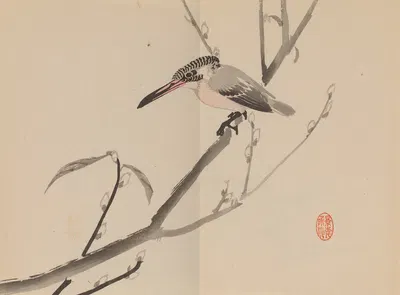 Keinen shūgajō Pl.64 by Имао Кейнин, 1906 — digital art print download