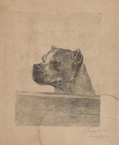 Dog Head by Луи Ван Энгелен — digital art print download