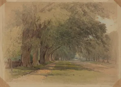 Парк в Стратфорде, Конн by Альберт Фитч Беллоус — digital art print download