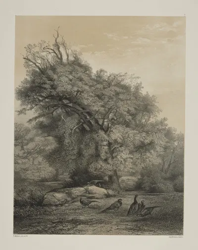 Фазаны by Карл Бодмер, 1858 — digital art print download