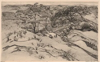 Dune Landscape by Willem Jansen — digital art print download