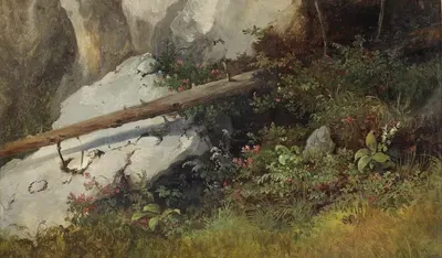 Луг перед скалистым фоном by Алойс Шённ — digital art print download