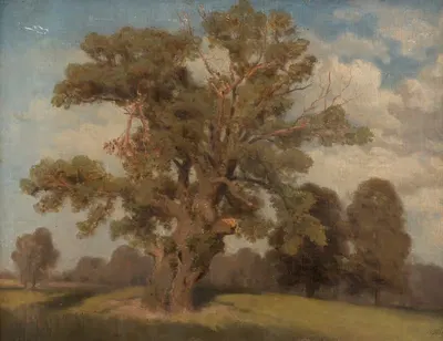 Старое дерево в Криау by Франц Бжезовский, 1883 — digital art print download