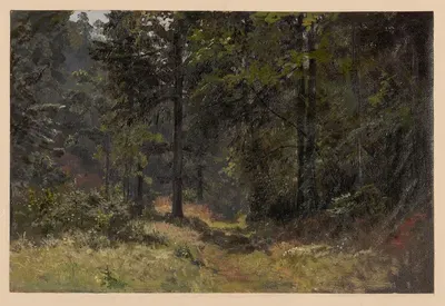 Лесная дорога в долине Щавник by Адольф Дресслер, 1850-1881 — digital art print download