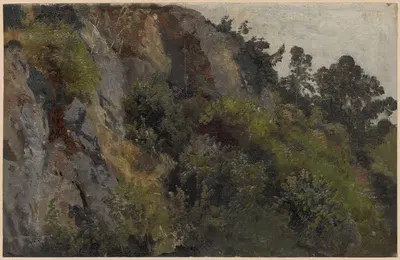 Скалистый склон, заросший растениями by Адольф Дресслер, 1850-1881 — digital art print download