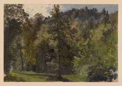 Деревья в долине Щавник by Адольф Дресслер, 1850-1881 — digital art print download