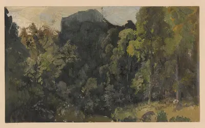 Вид на прибрежные болота в долине Щавник by Адольф Дресслер, 1850-1881 — digital art print download