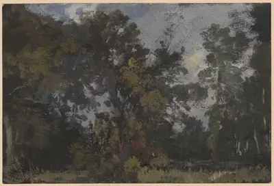 Вид на деревья у реки Барич by Адольф Дресслер, 1850-1881 — digital art print download