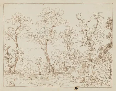 Studies of Trees, Landscape by Arthur Blaschnik, 1850 - 1860 — digital art print download
