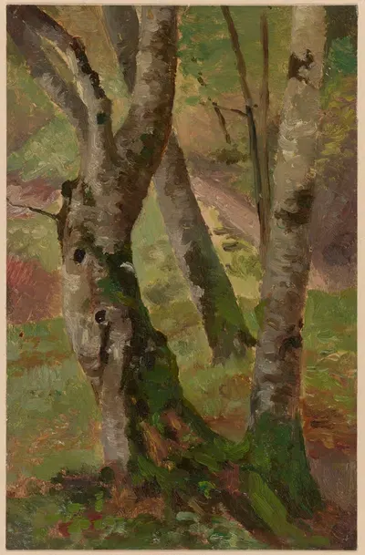 Стволы берез by Теодор Блаш, 1892-1910 — digital art print download