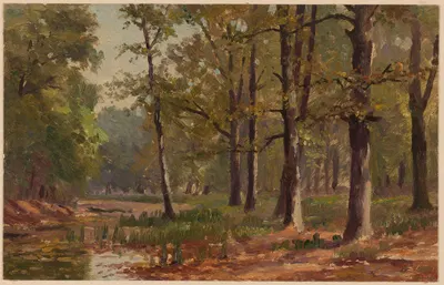 Болото в лесу by Теодор Блаш, 1892-1910 — digital art print download