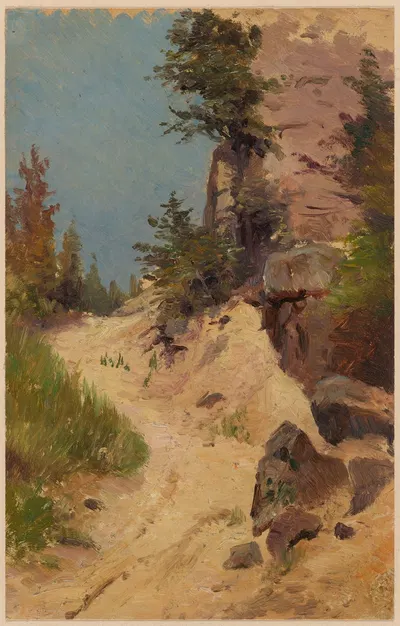 Пейзаж с песчаной дорогой и скалой by Теодор Блаш, 1892-1910 — digital art print download
