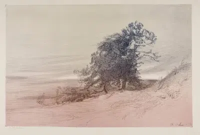 Группа деревьев by Шарль Мари Дюлак, 1894 — digital art print download