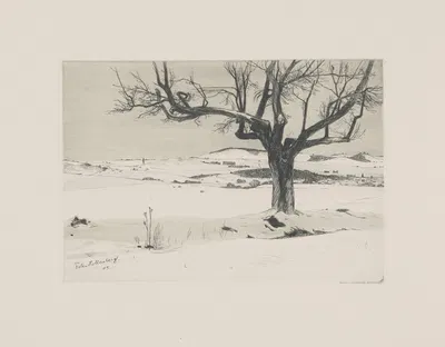 Зимний пейзаж с деревом by Феликс Холленберг, 1905 — digital art print download