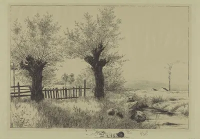 Ивы by Герман Хирцель, 1895 — digital art print download