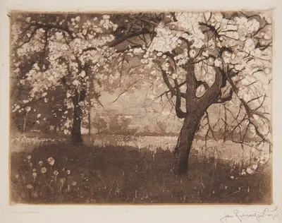 Kwitnący sad by Jan Rubczak, 1908 — digital art print download